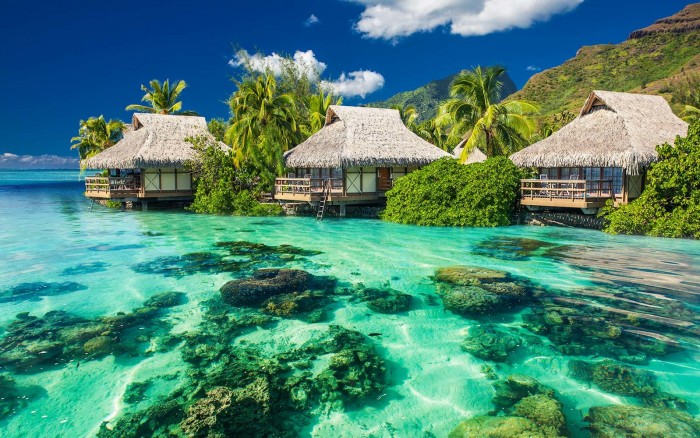 Beautiful above and underwater coral landscape of a tropical resort